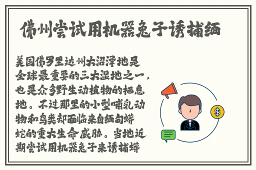 日产乱码区别免费
